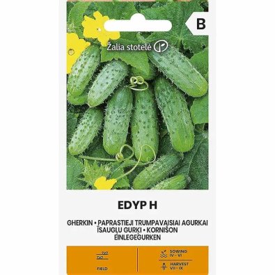 Frilandsagurk 'Edyp' F1