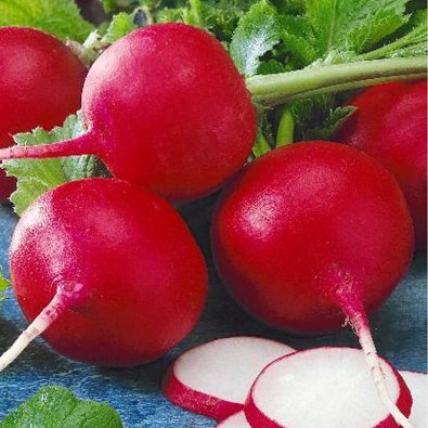 Reddik 'Cherry belle'