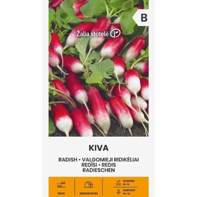 Reddik 'Kiva'