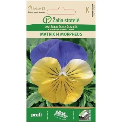 Stemorblomst 'Matrix H Morpheus'