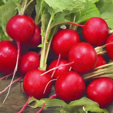 Reddik 'Raxe'