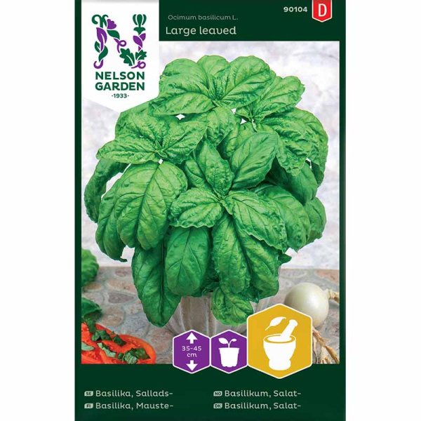 Salatbladbasilikum 'Large leaved'