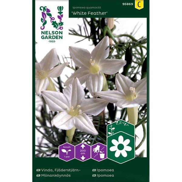 Fjærvindel 'White Feather'