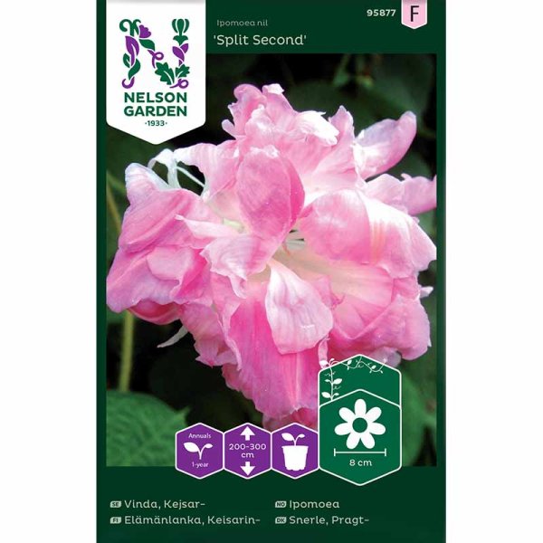 Praktvindel 'Split Second'