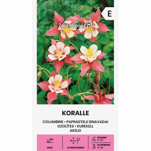 Akeleie 'Korall'