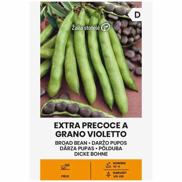 Hestebønne 'Extra precoce a grano violetto'