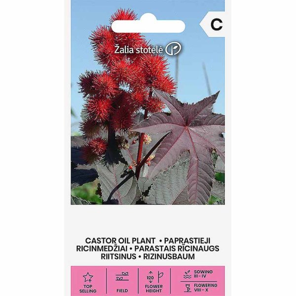 Ricinus 'Carmencita Bright Red'