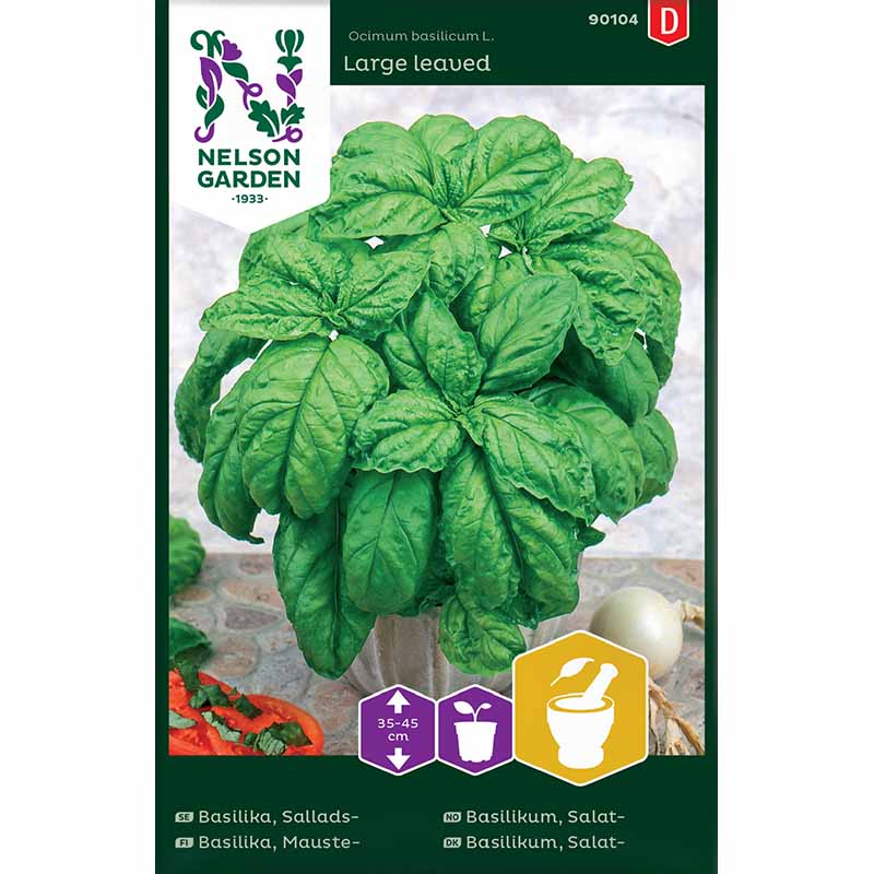 Salatbladbasilikum 'Large leaved'