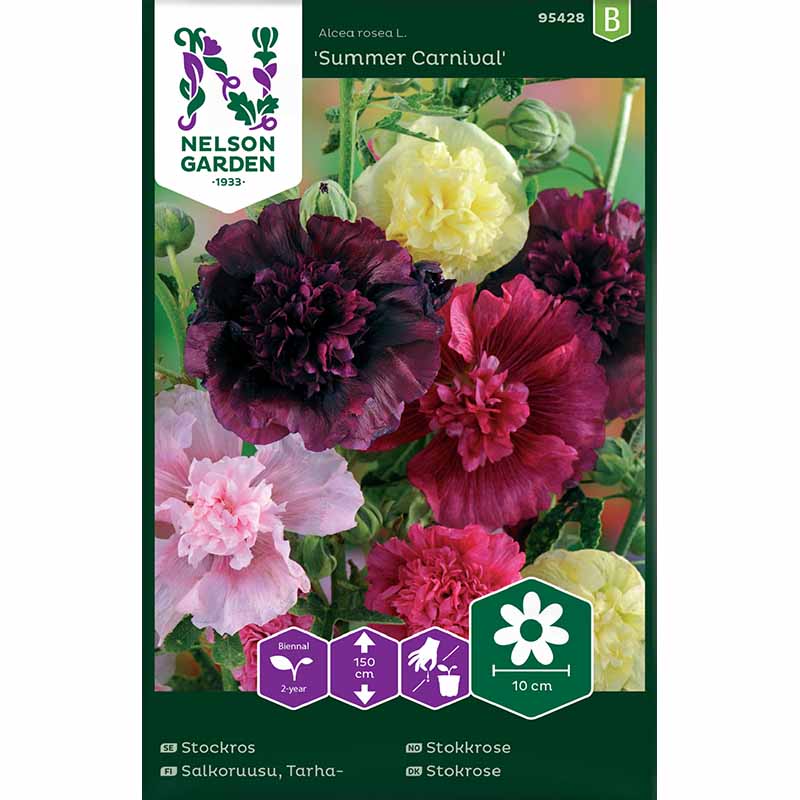 Stokkrose 'Summer Carnival'