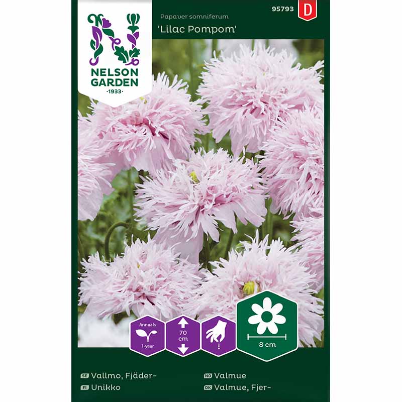 Fjærvalmue 'Lilac Pompom'