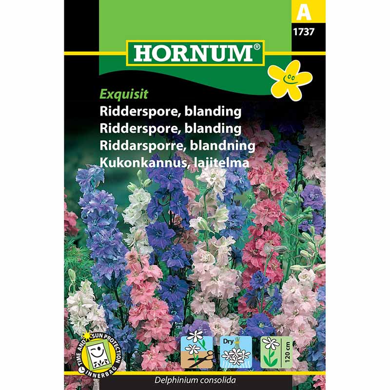 Ridderspore 'Exquisit'