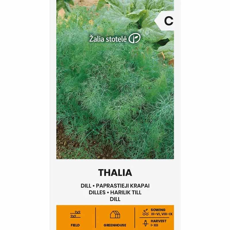 Dill 'Thalia'
