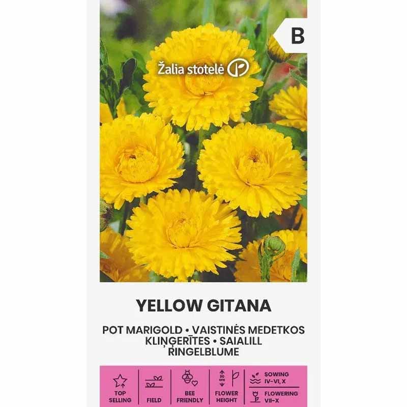 Ringblomst 'Yellow gitana'