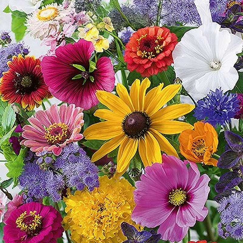 Blomstermiks 'Last Minute'